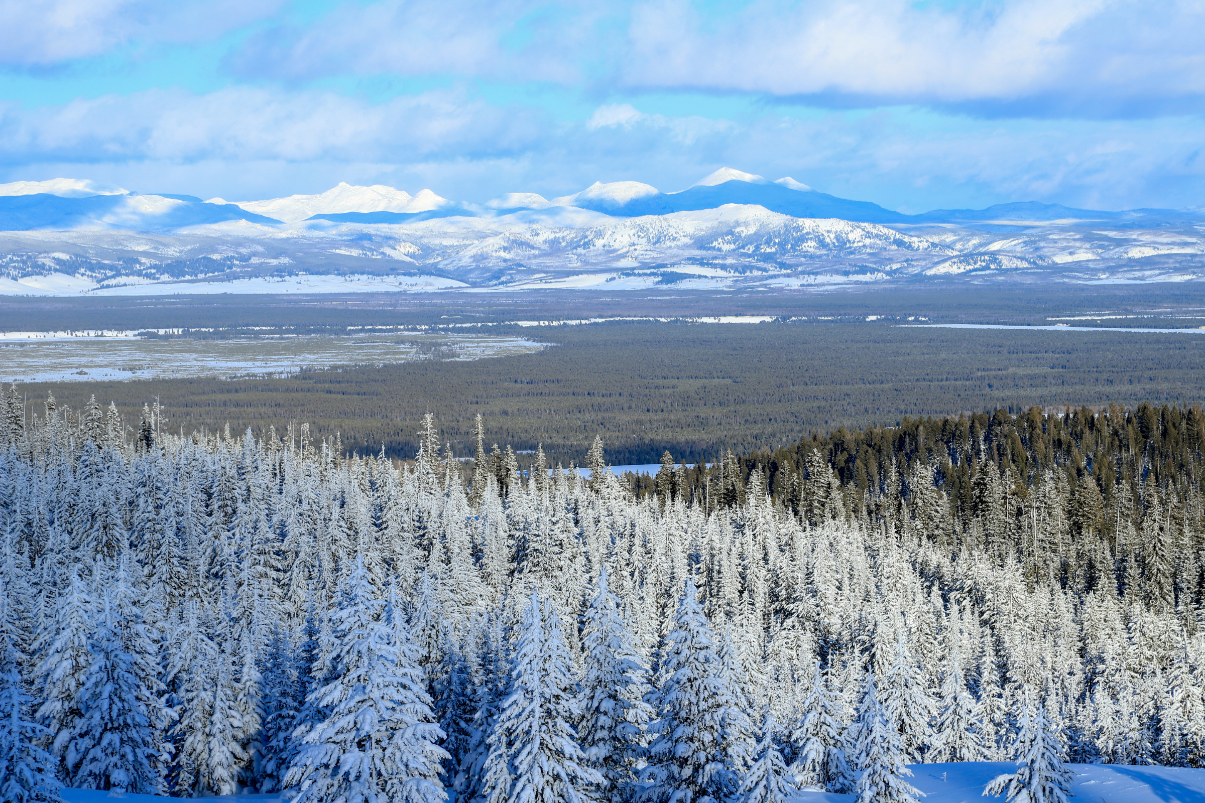 west yellowstone, montana (3).webp
